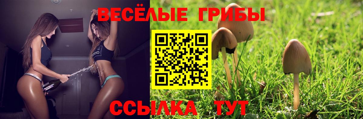 Галлюциногенные грибы GOLDEN TEACHER Сафоново